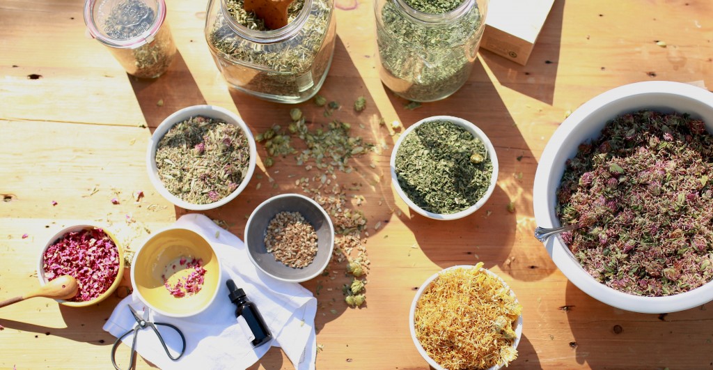 The-Entrepreneur-Herbal-Course-by-Herbal-Academy-1024x531